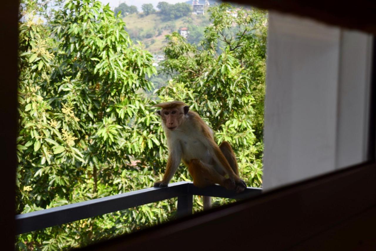 La Colina Kandy Exteriör bild